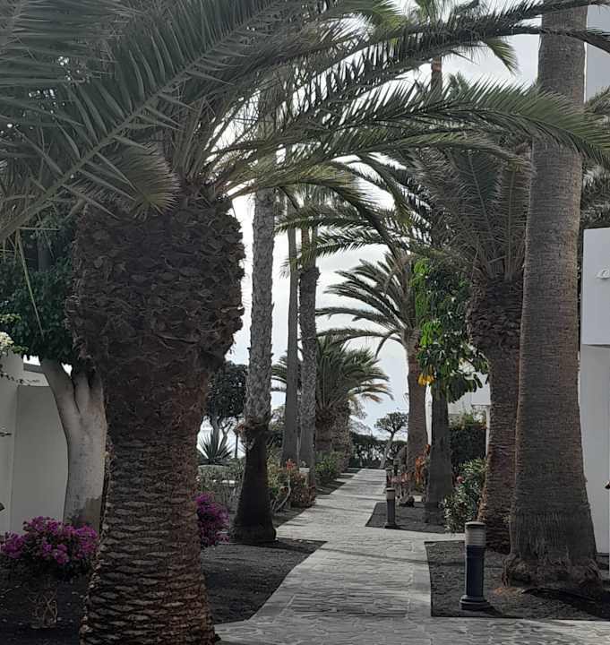 Gartenanlage allsun App.-Hotel Albatros