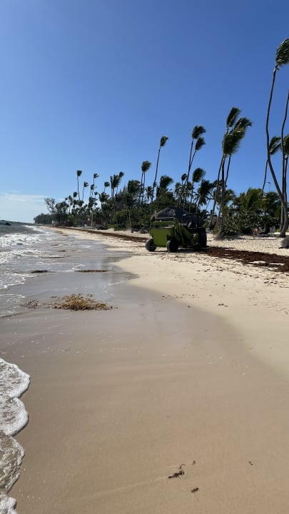 Strand Grand Palladium Punta Cana Resort & Spa