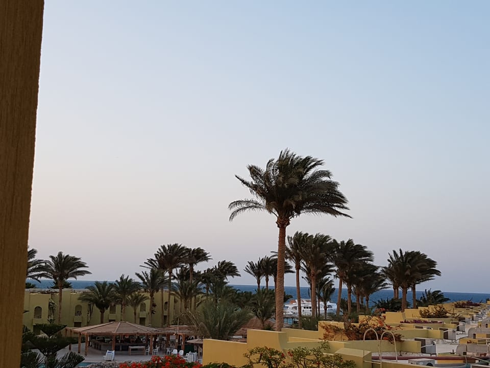 Pool Palm Beach Resort