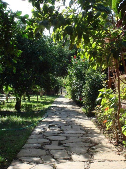 Der Weg zum Strand Sayanora Hotel