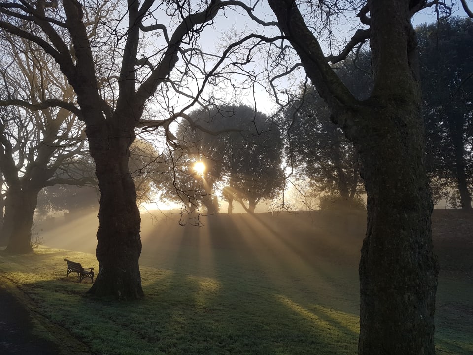 Gartenanlage The Salutation Hotel, Restaurant and Gardens