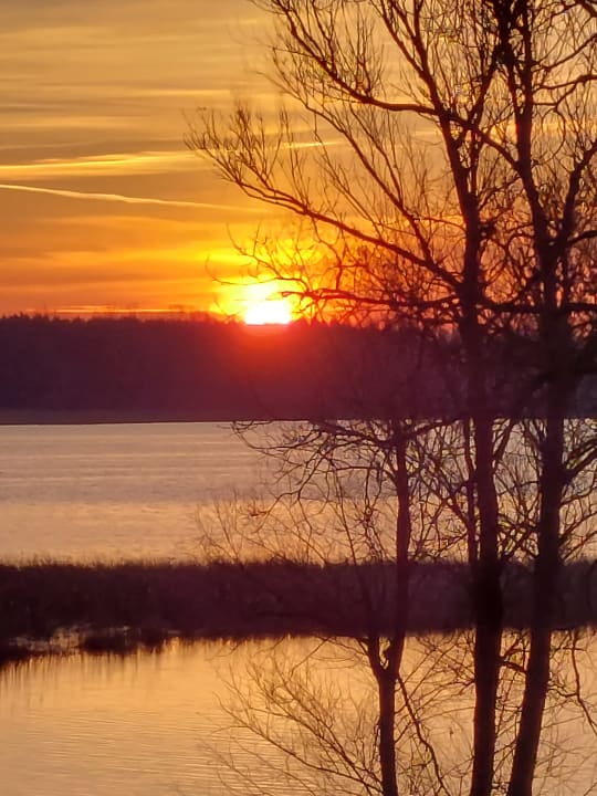 Ausblick Seehotel Brandenburg a.d. Havel