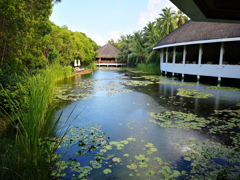 Gartenanlage Dreamland The Unique Sea & Lake Resort / Spa