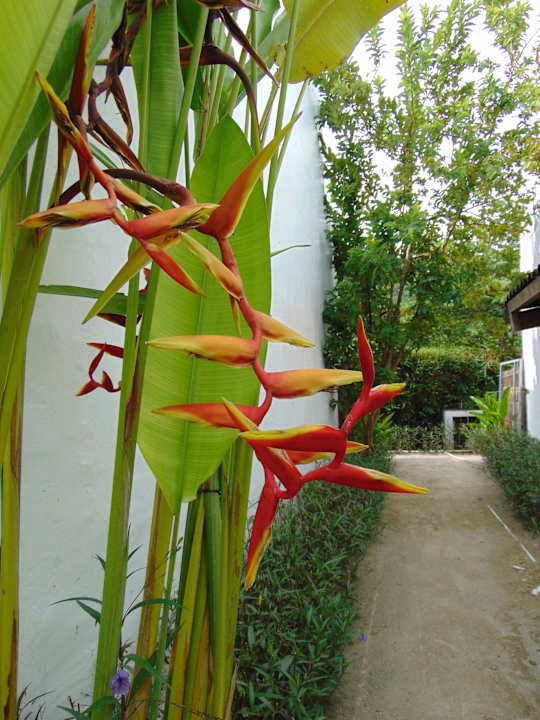 Gartenanlage Amber Lombok Beach Resort