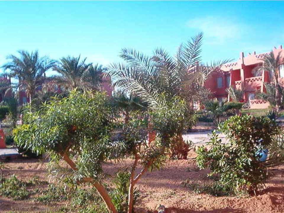 Gepflegter Garten Hotel Hauza Beach Resort