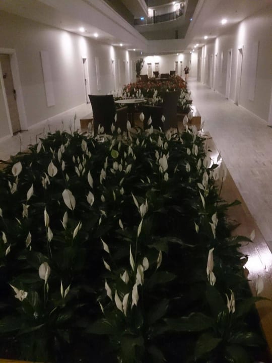 Sehr modern.  LRS Port River Hotel & Spa