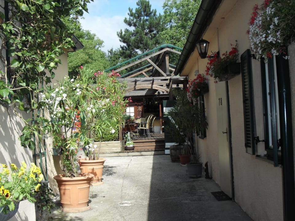 Frühstücksterrasse Hotel Schneider-Gössl