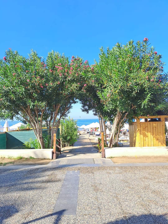 Sonstiges Nerton Hotel - Erwachsenenhotel ab 16 Jahren