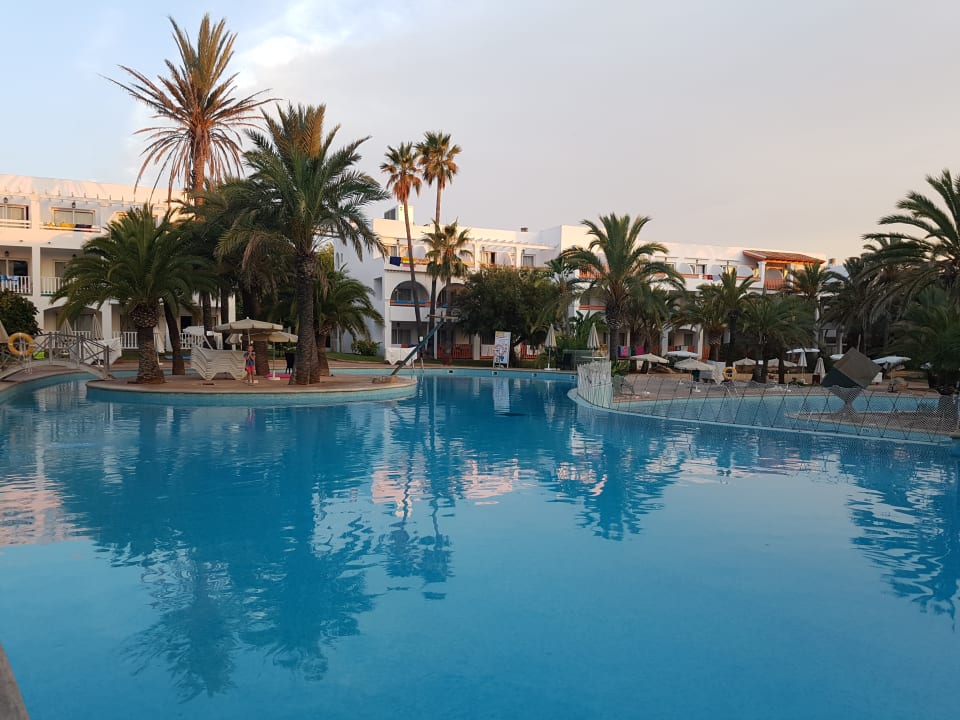 Pool Calimera Fido Gardens