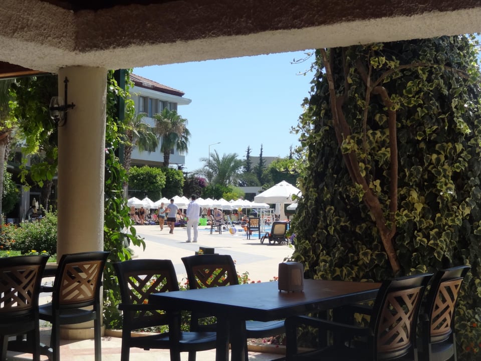 Widok z baru na basen Greenwood Kemer Resort