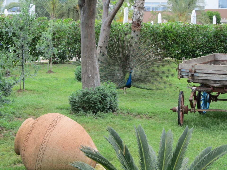 SunConnect Sea World Resort & Spa Seaden Sea World Resort & Spa