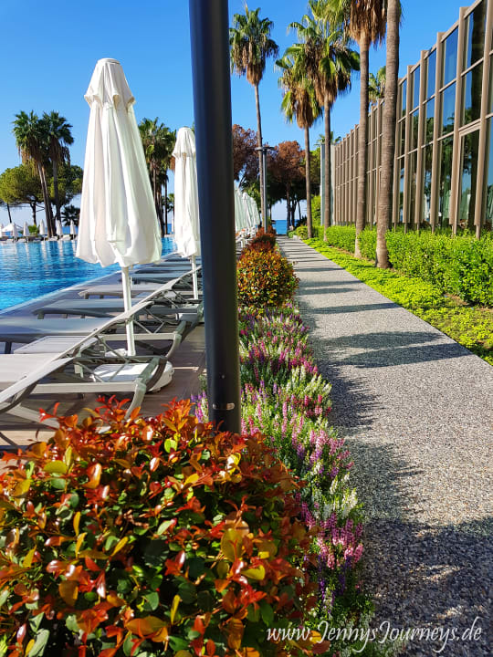 Pool Acanthus Cennet Barut Collection