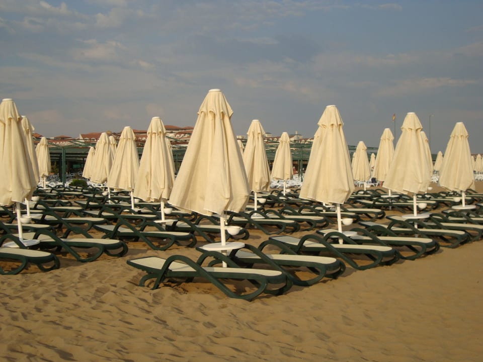 Liegen und Sonnenschirme Commodore Elite Suites & Spa - Adults only