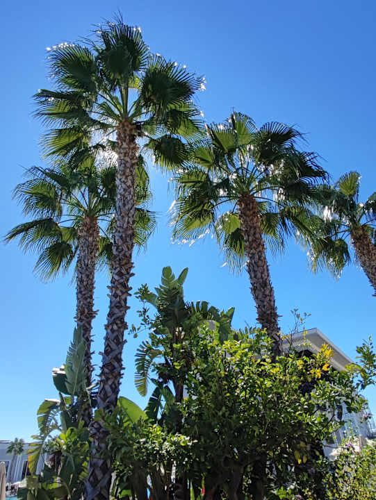 Gartenanlage Granada Luxury Belek