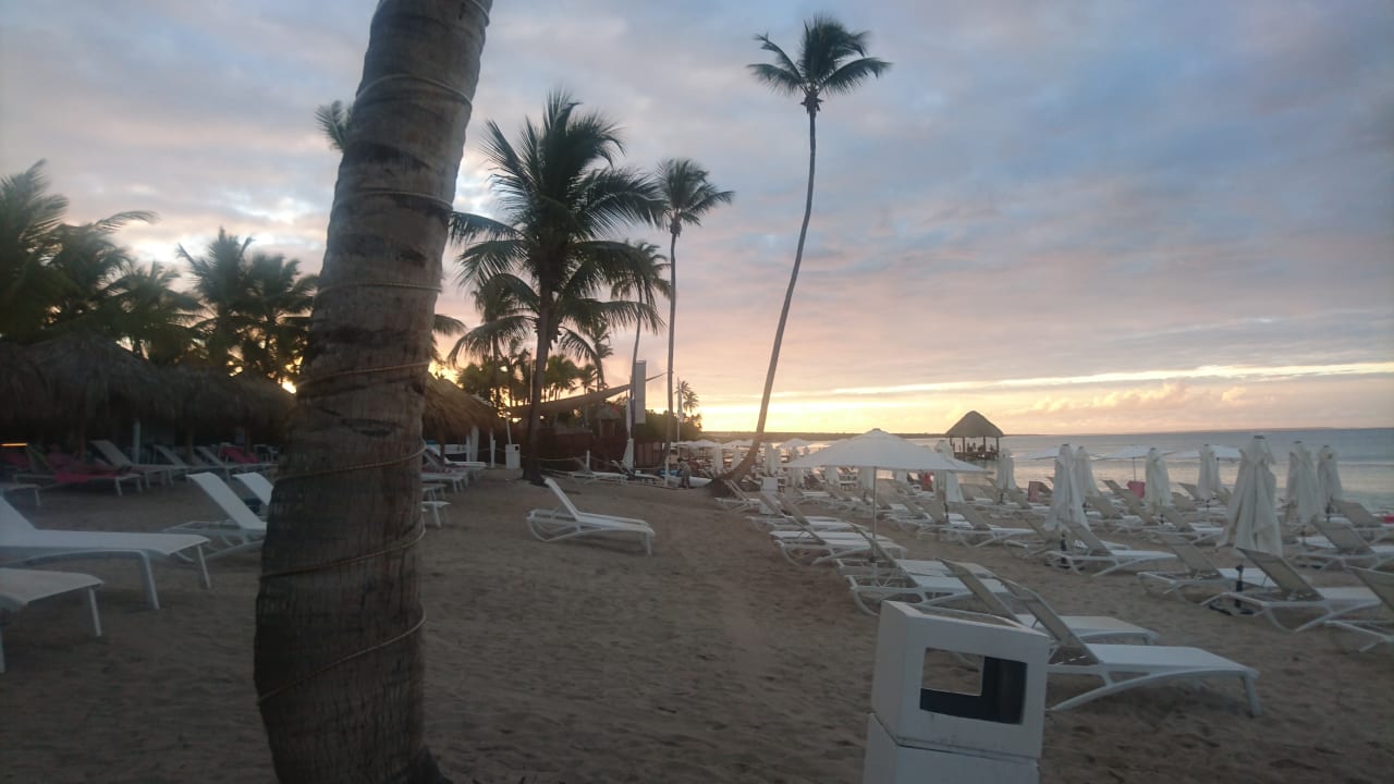 Strand Catalonia Royal La Romana - Adults only