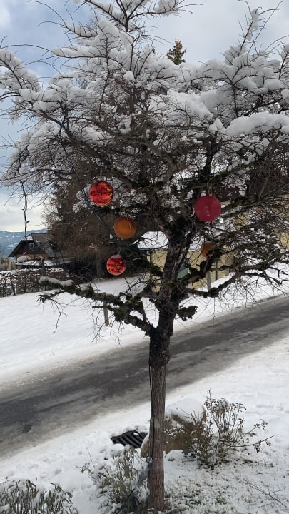 Ausblick Bio-Holzhaus & Landhaus Heimat