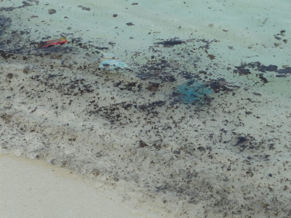 Meer mit Schmutz Summer Island Maldives