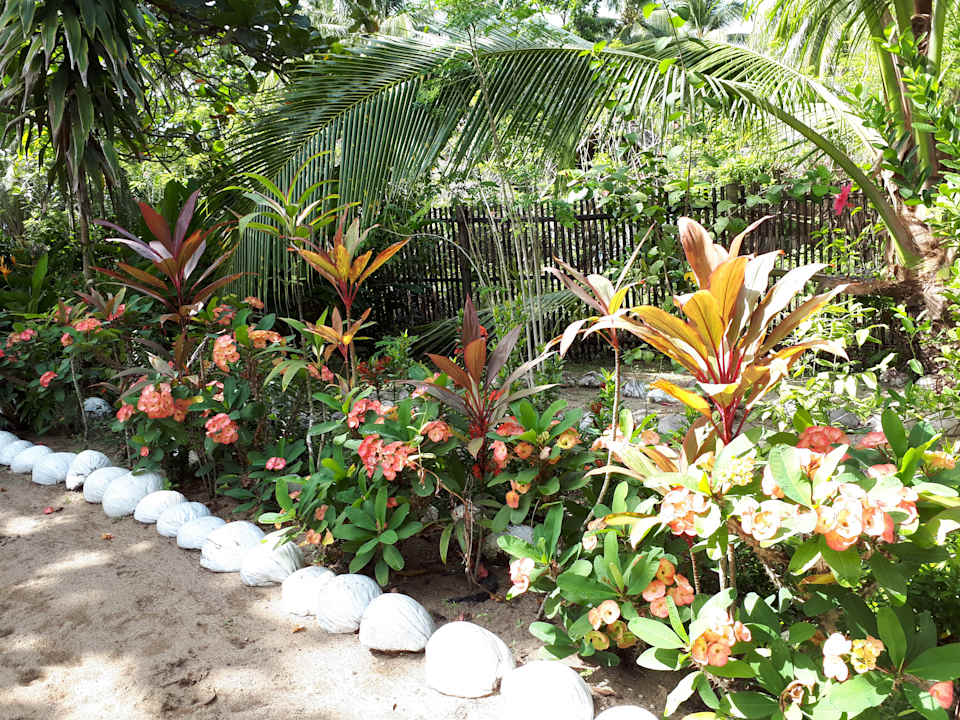Gartenanlage Big Bamboo Beach Resort Sipalay