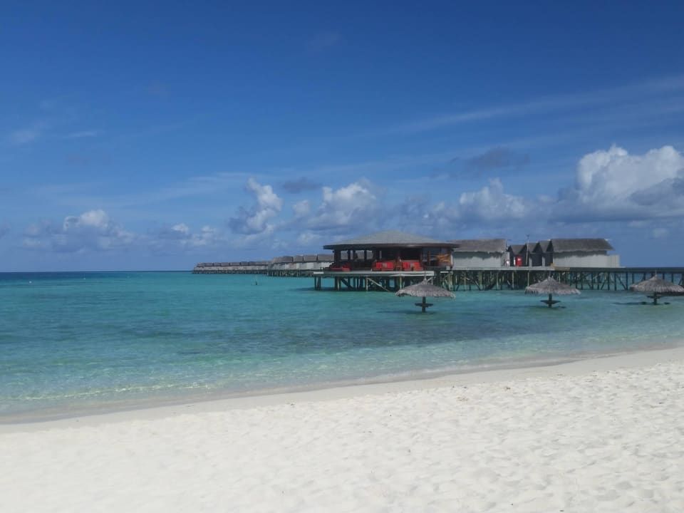 VIU Bar Centara Ras Fushi Resort & Spa Maldives