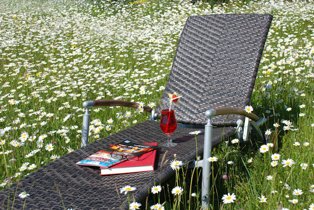 Gartenanlage SALZANO Basic Rooms