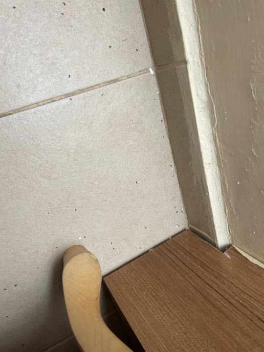 Zimmer Oz Hotels Incekum Beach