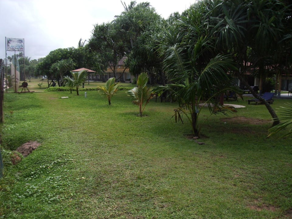 Zum Ausruhen Club Hotel Dolphin
