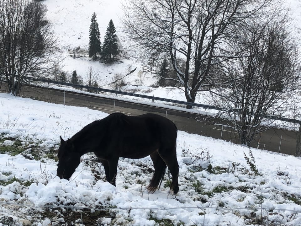 Außenansicht Naturhotel auf Gut Lilienfein