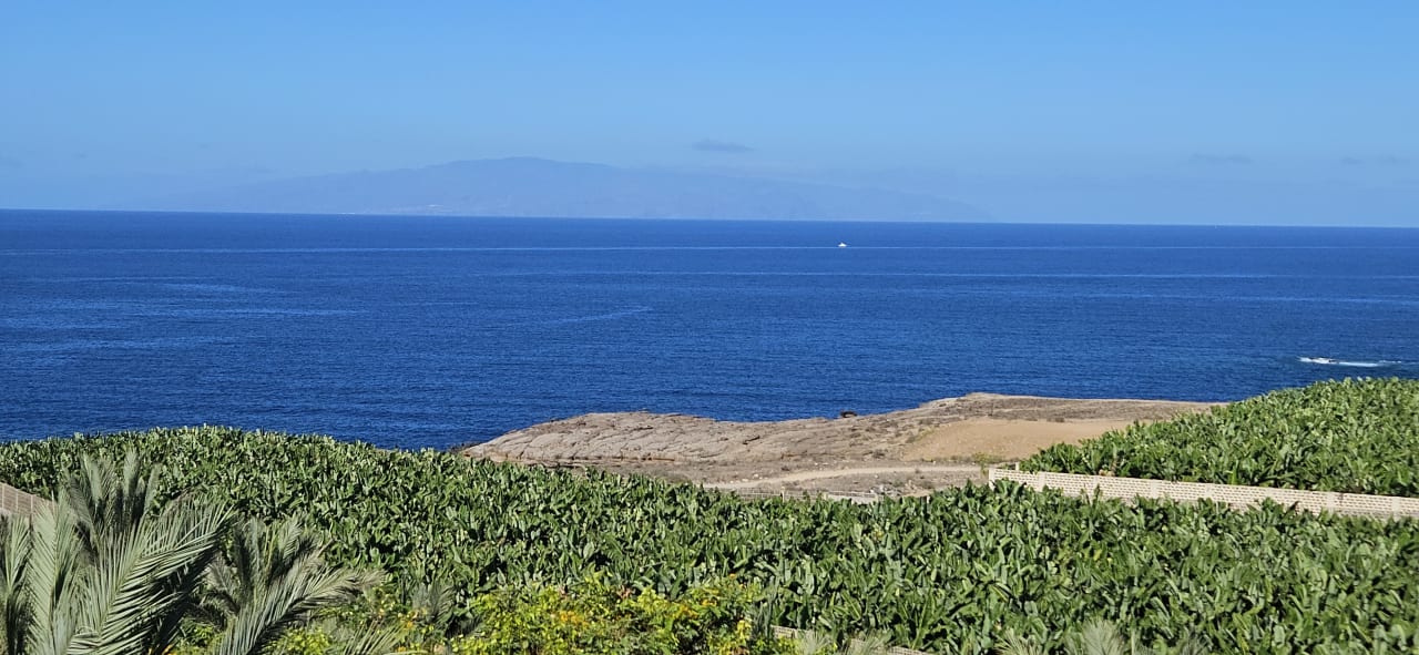 Ausblick Hotel Riu Buenavista
