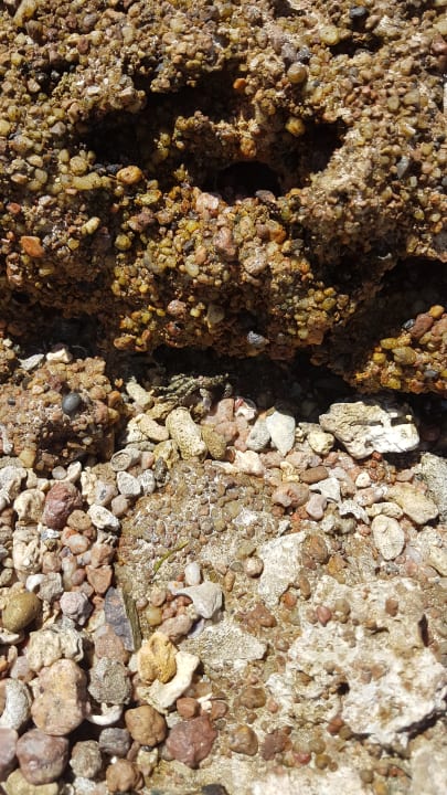 Strand Parrotel Beach Resort