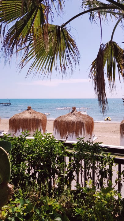 Strand PALOMA Perissia