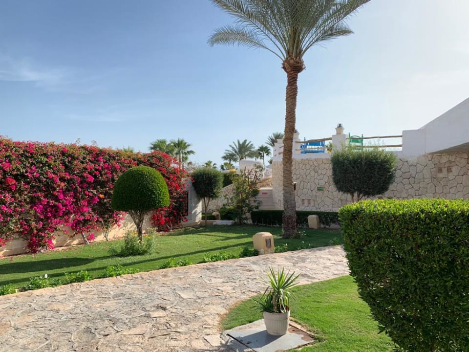 Gartenanlage Sharm Club Beach Resort