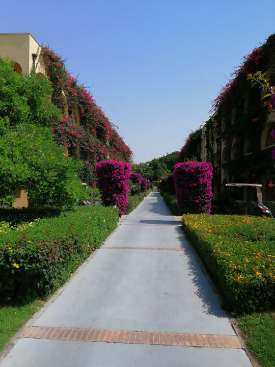 Gartenanlage TUI MAGIC LIFE Calabria