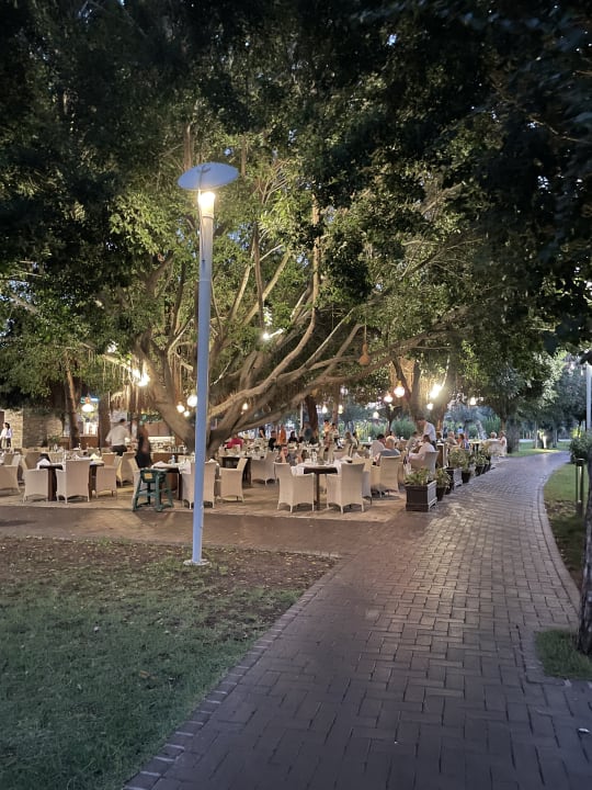 Gastro Gloria Serenity Resort