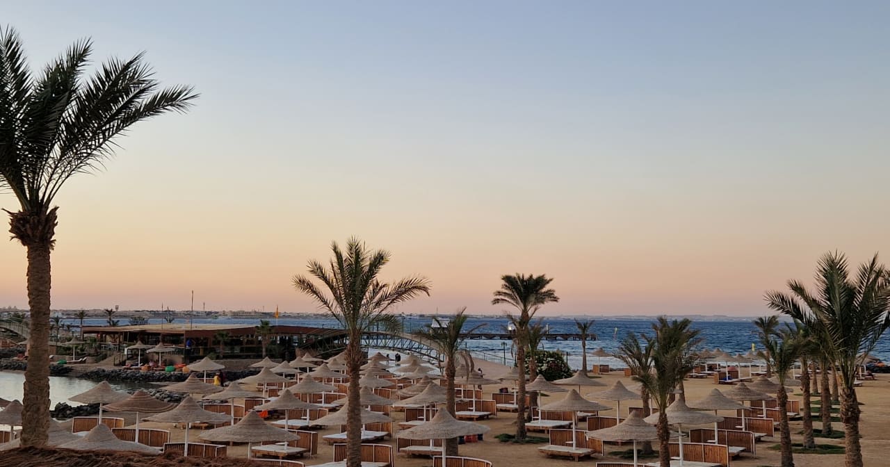 Ausblick Desert Rose