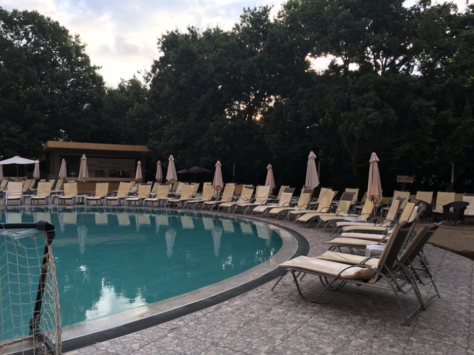 Pool HVD Viva Club Hotel