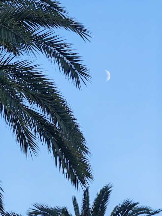 Ausblick CM Castell de Mar
