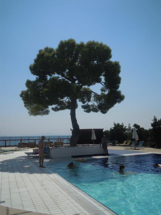 Mniejszy basen Hotel Kinetta Beach