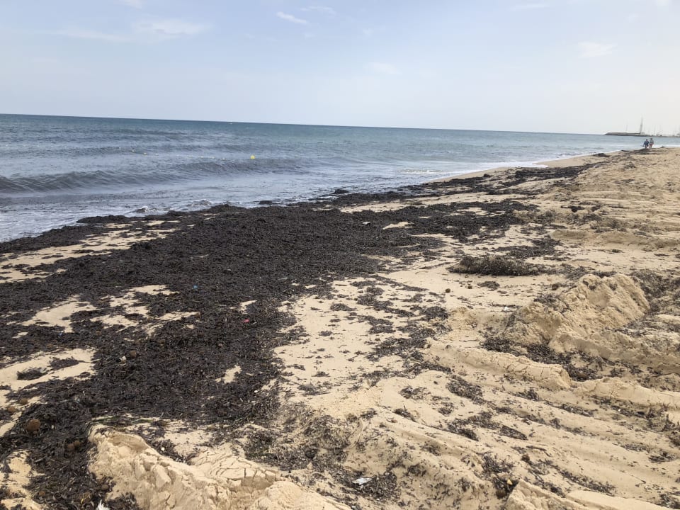 Strand Oceana Hotel & Spa