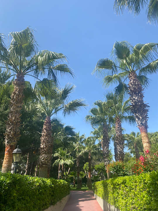 Gartenanlage Side Breeze Hotel