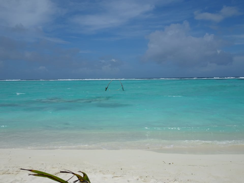 Strand Summer Island Maldives