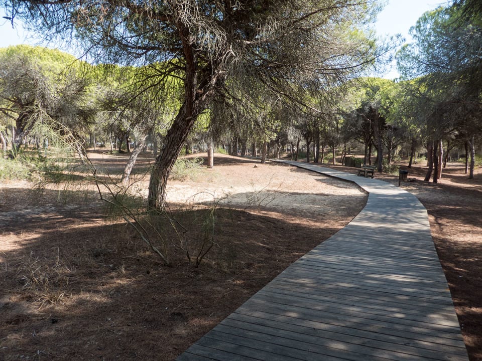 Gartenanlage Hotel Playa de la Luz