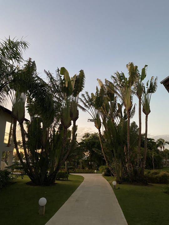 Gartenanlage Secrets La Romana Resort & Spa - Adult Only