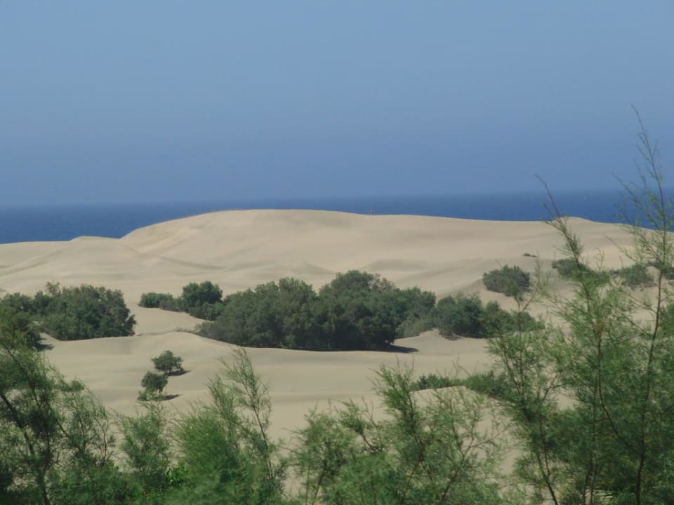 Blick vom Balkon auf die Dünen Hotel Riu Palace Maspalomas Adults Only