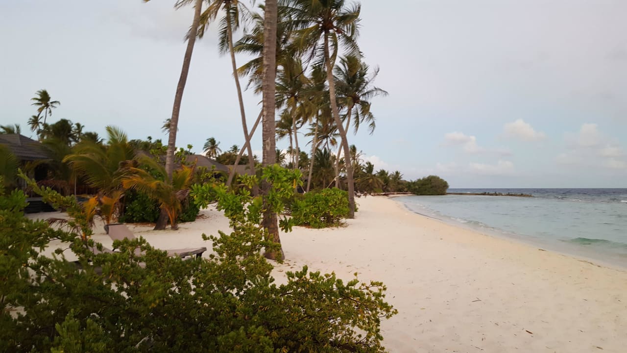 O'Bereich Beachvillen Kuredu Island Resort & Spa
