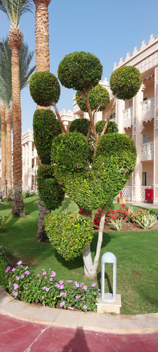 Außenansicht Pickalbatros Palace Resort