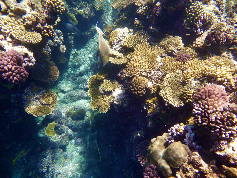 Strand Three Corners Sea Beach Resort