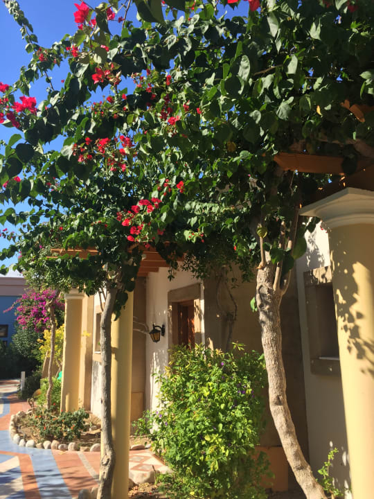 Gartenanlage Atrium Palace Thalasso Spa Resort & Villas