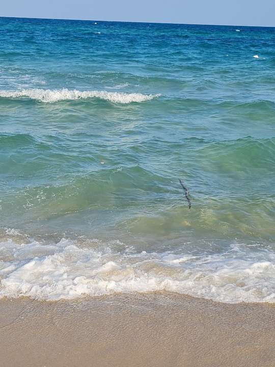 Strand TUI MAGIC LIFE Africana