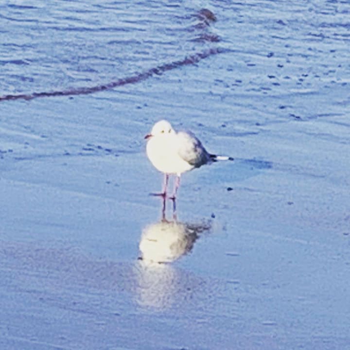 Strand Ferienwohnungen Ferienpark Weissenhäuser Strand