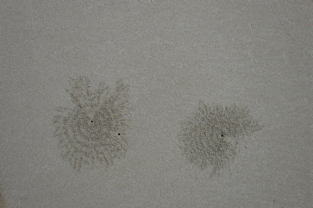 Muster von Krebsen Baan Krating Khao Lak Resort